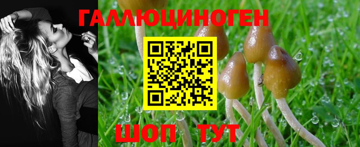 Красный Сулин  Галлюциногенные грибы Magic Shrooms  Вход с VPN 